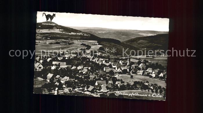 Struempfelbrunn Katzenbuckel Fliegeraufnahme