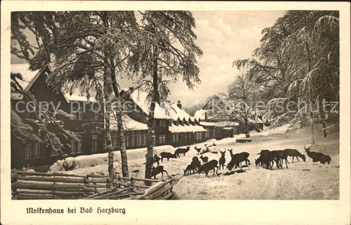 Molkenhaus Wildfuetterung am Wintersportplatz