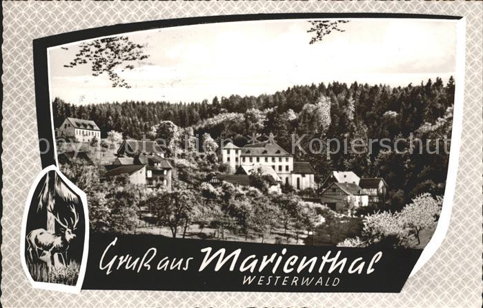 Marienthal Westerwald Gasthaus Pension zur Post Hirsch