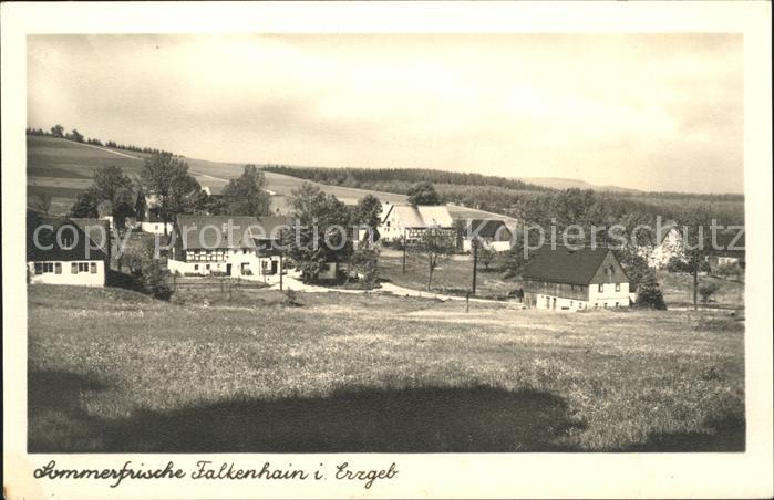 Falkenhain Altenberg Erzgebirge Teilansicht Sommerfrische