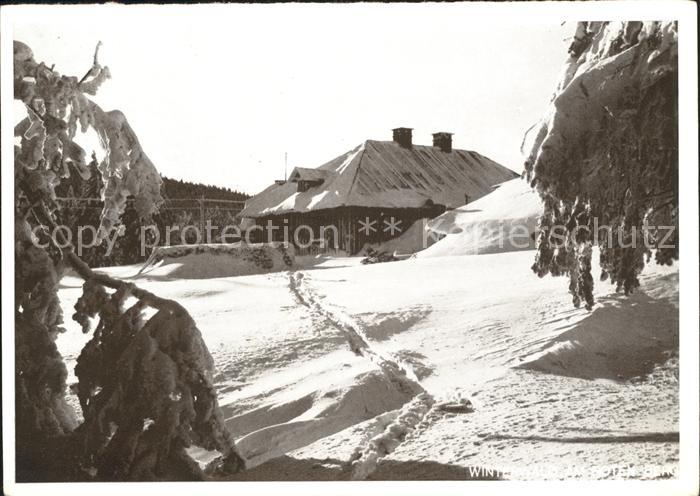 Altvatergebirge Winterwald am Roten Berg