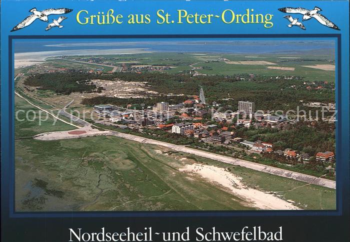 St Peter-Ording Moewe Fliegeraufnahme