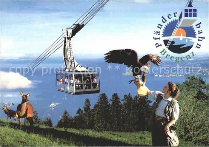 Seilbahn Pfaender Bregenz Adler Reh Hirsch
