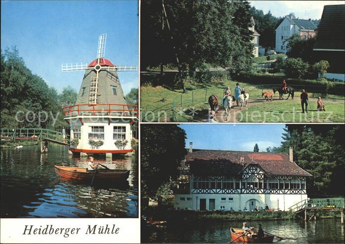 Windmuehle Heidberger Muehle Haan Pferde