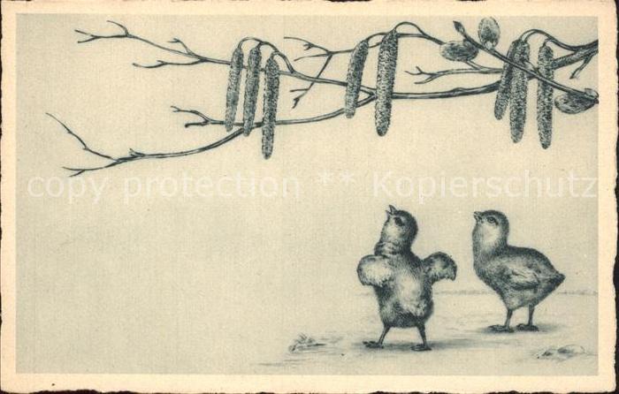 Ostern Easter Paques Kueken Weidenkaetzchen Timon Nr. 74