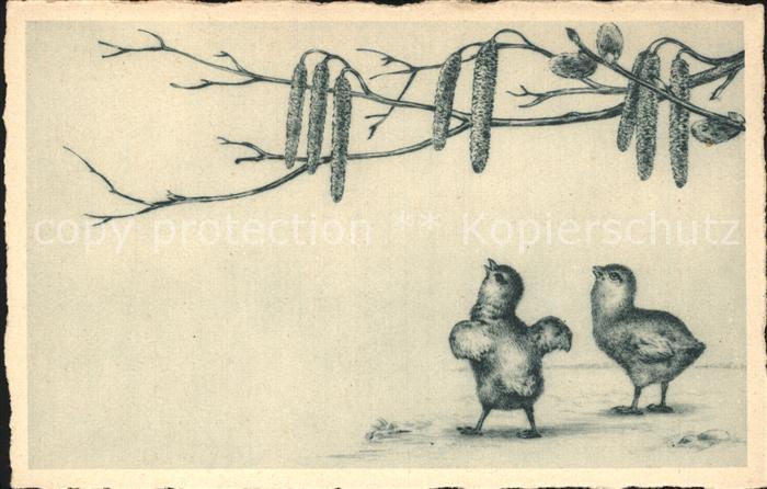 Tiere Kueken Ostern Weidenkaetzchen Timon Nr. 74