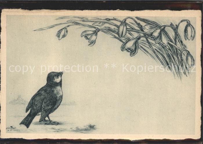 Voegel Schneeglöckchen Timon-Nr. 75