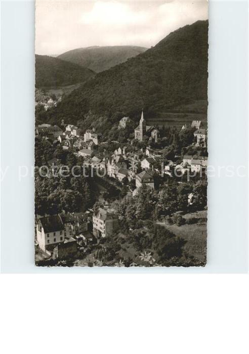 Bad Bertrich Panorama Blick von der Hohen Lay