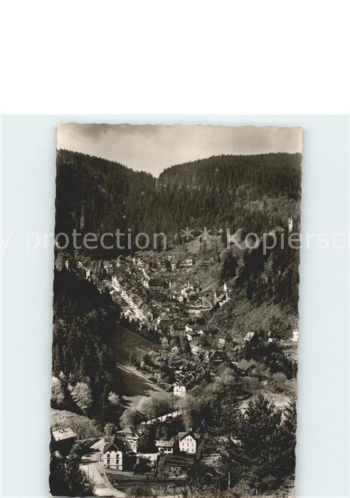 Triberg Schwarzwald Panorama