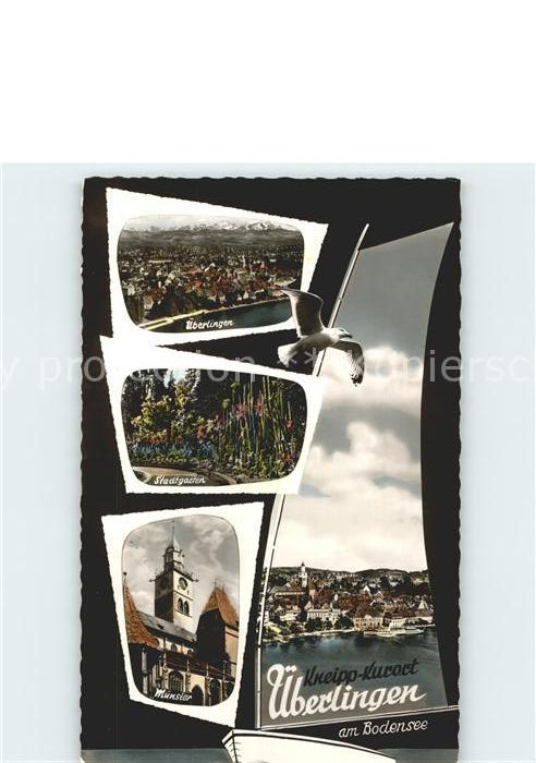 ueberlingen Bodensee Kneipp Kurort Stadtgarten Muenster Moewe