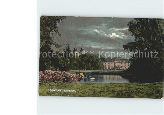 Donaueschingen Schloss Park Schwanenteich