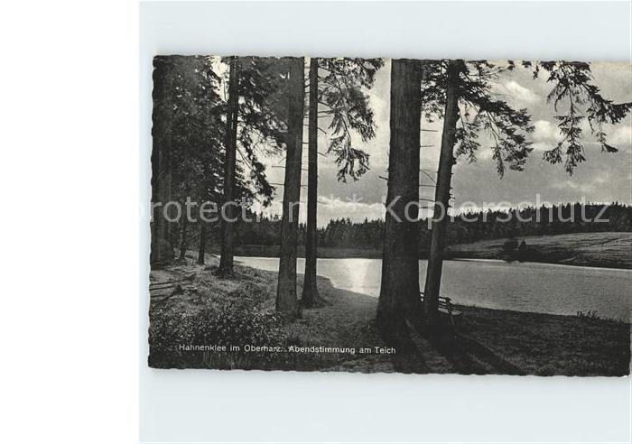 Hahnenklee-Bockswiese Harz Abendstimmung am Teich