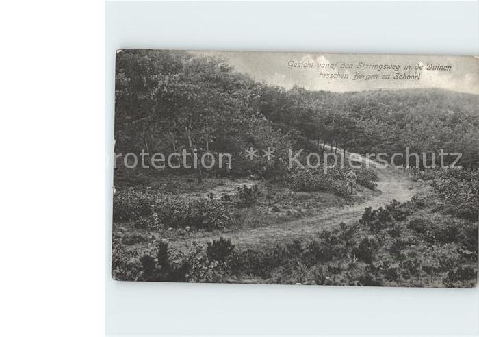 Schoorl Gezicht vanaf den Staringsweg in de Duinen