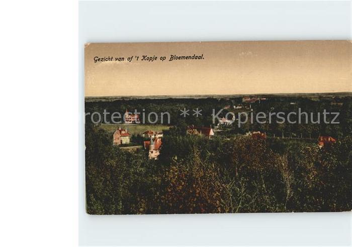 Bloemendaal Gezicht van af 't Kopje