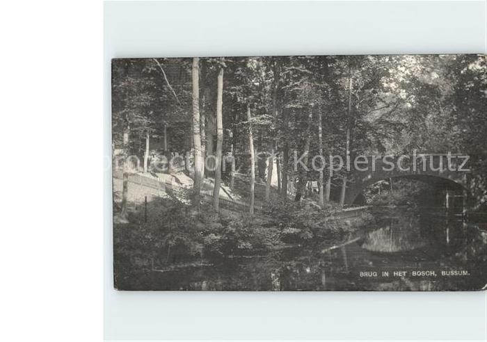 Bussum Brug in het Bosch