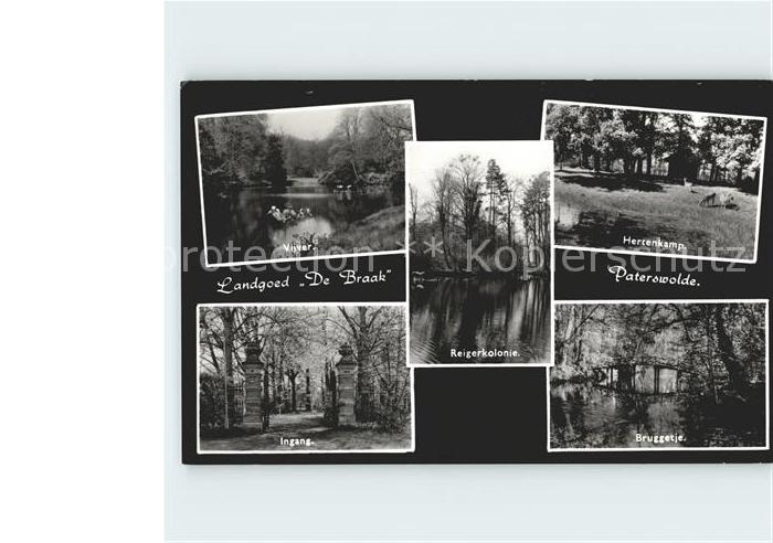 Paterswolde Landgoed De Braak Vijver Hertenkamp Bruggetje