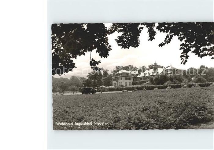 Ruedesheim Rhein Waldhotel Jagdschloss Niederwald