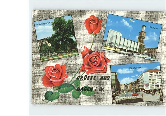 Hagen Westfalen Volksgarten Rathaus Mittelstrasse Rosen