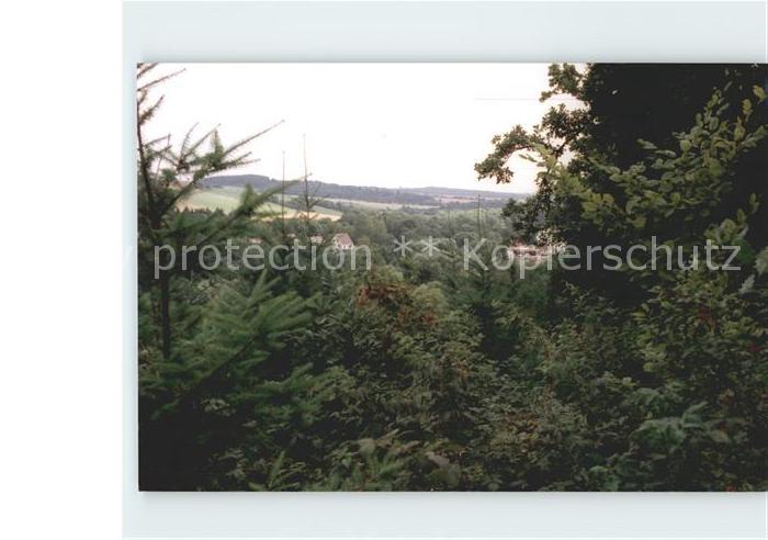 Rastatt Waldpartie im Schwarzwald