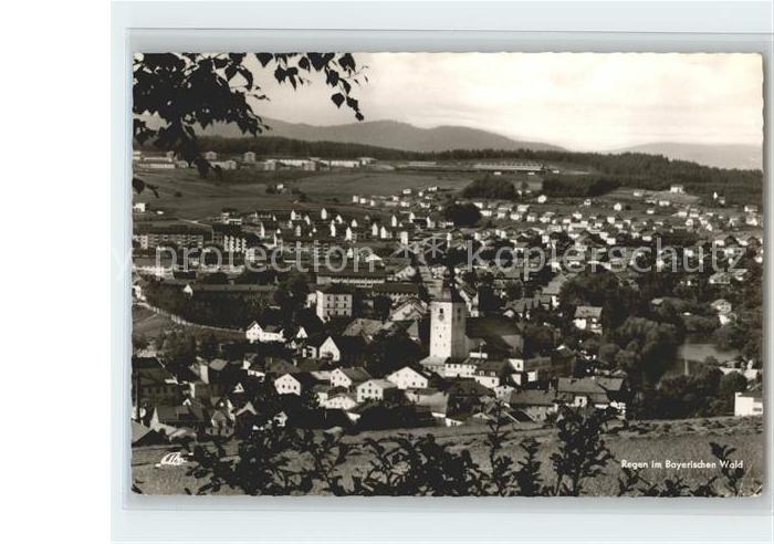 Regen im Bayerischen Wald Gesamtansicht