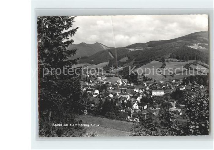Spital Semmering Steiermark Panorama