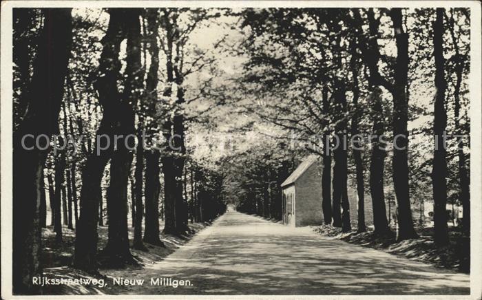 Millingen Rijn Rijksstraatweg
