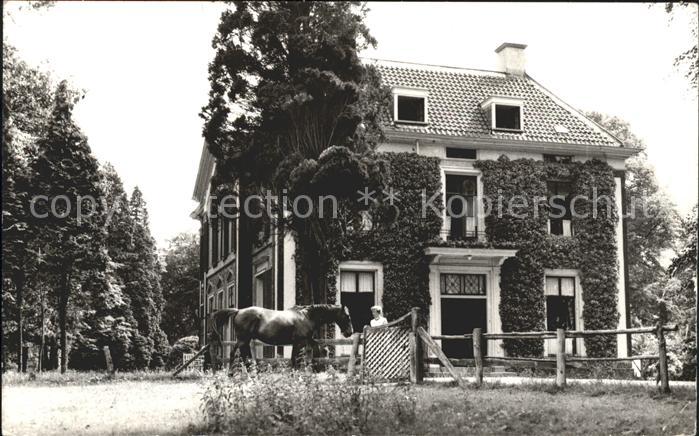 Hattem Zwolle Hezenberg Ingang Pferd