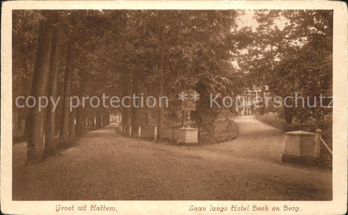 Hattem Zwolle Laan langs Hotel Beek Berg