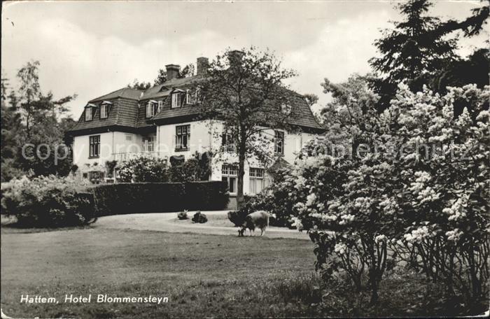 Hattem Zwolle Hotel Blommensteyn