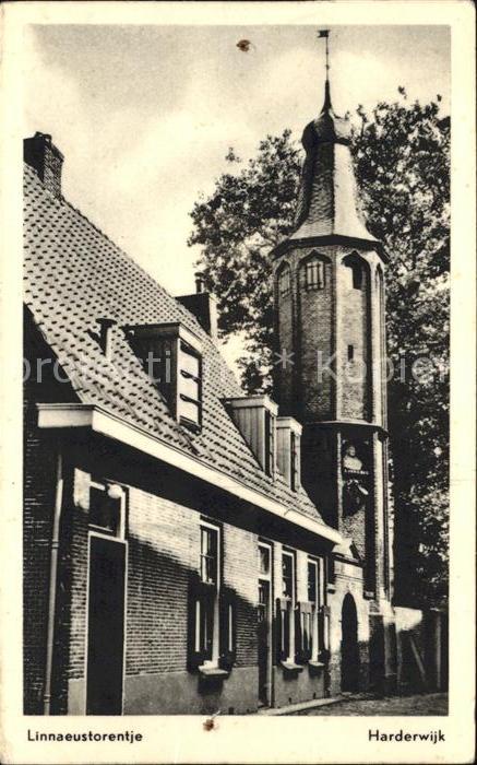 Harderwijk Linnaeustorentje