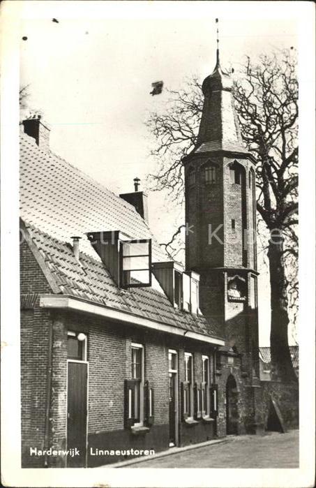 Harderwijk Linnaeustoren