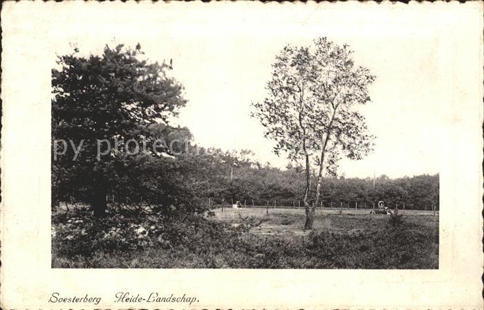 Soesterberg Heide Landschap Landschaft