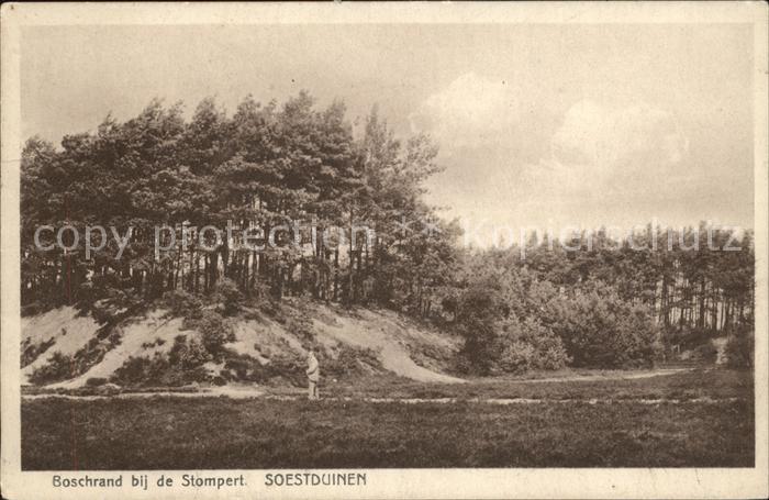 Soestduinen Boschrand bij de Stompert