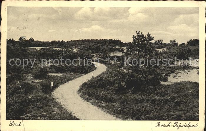 Soest Netherlands Bosch Rijwielpad
