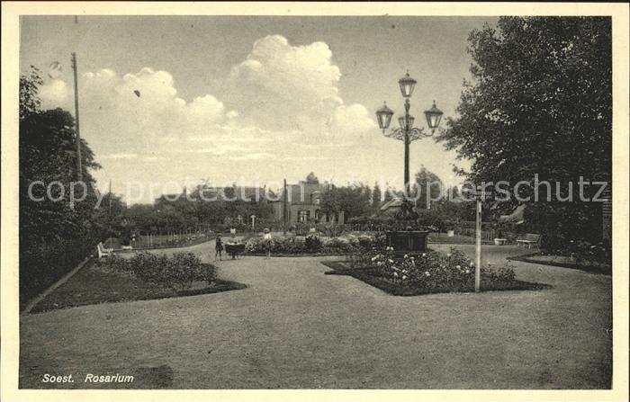 Soest Netherlands Rosarium