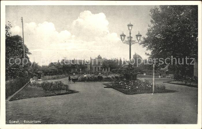 Soest Netherlands Rosarium