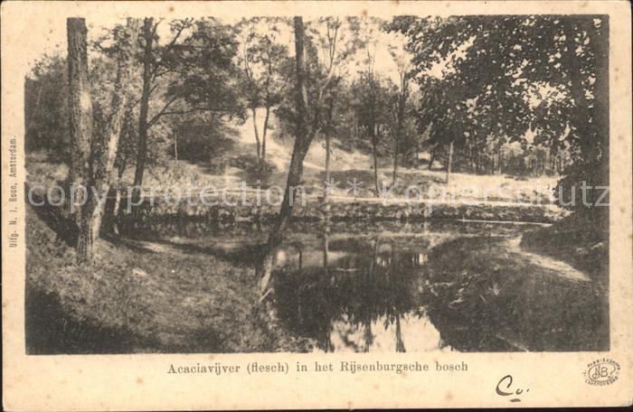 Rijsenburg Acaciavijver in het Rijsenburgsche bosc