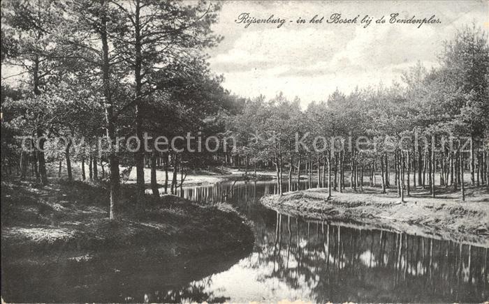 Rijsenburg Bosch bij de Eendenplas