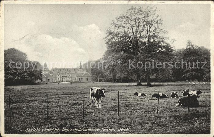 Delden Gezicht vanaf het Jagershuis op Kasteel Twickel Schloss Kuh