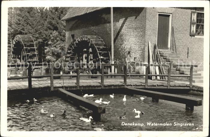 Denekamp Watermolen Singraven Wassermuehle Enten