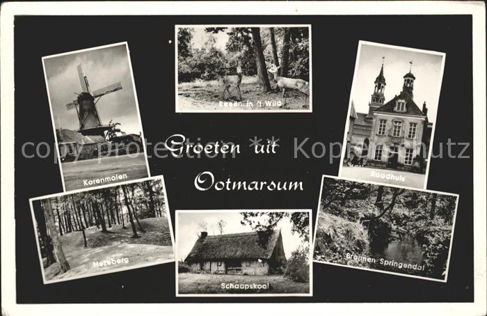 Ootmarsum Wild Raadhuis Springendal Schaapskaal K