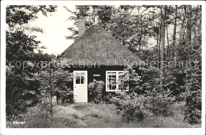 Ommen Overijssel Merel Limra