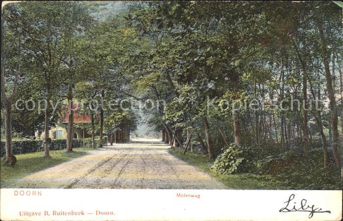 Doorn Niederlande Molenweg Allee