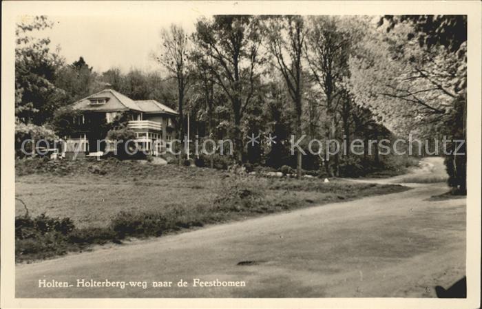 Holten Rijssen Holterberg weg naar de Feestbomen