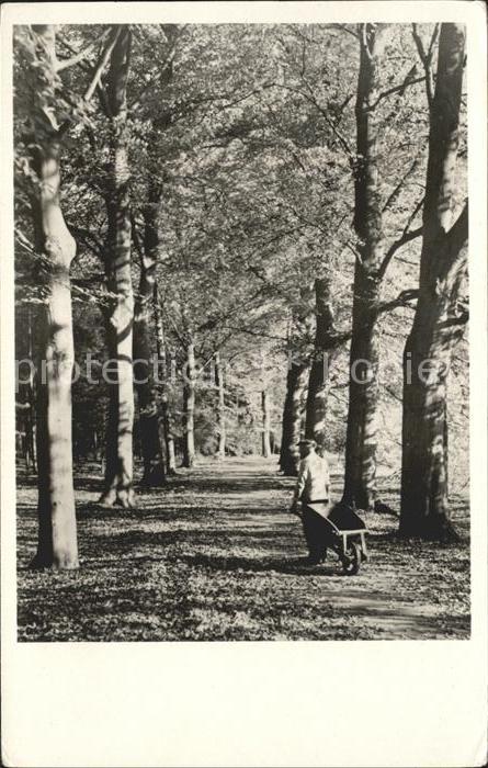 De Bilt ANWB Wandeling Waldweg