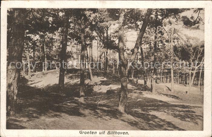 Bilthoven Waldpartie