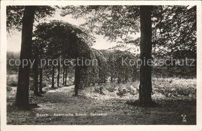 Baarn Baarnsche Bosch Berceaux