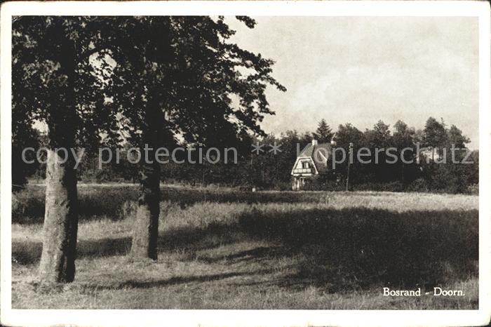 Doorn Niederlande Bosrand