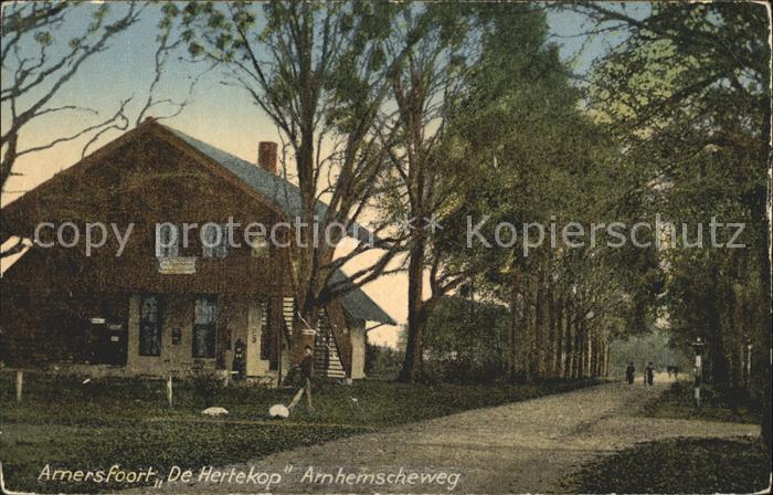 Amersfoort De Hertekop Arnhemscheweg