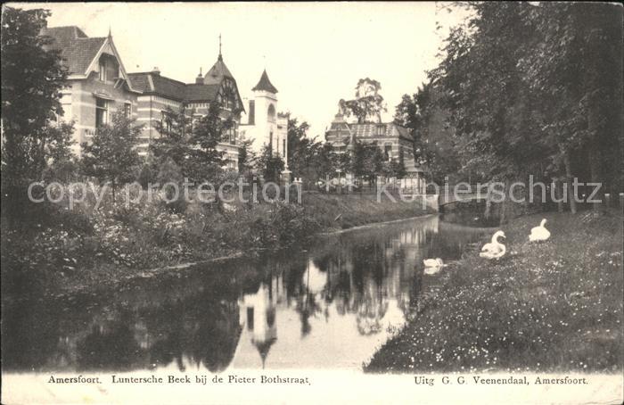 Amersfoort Luntersche Beek bij de Pieter Bothstraat Schwan